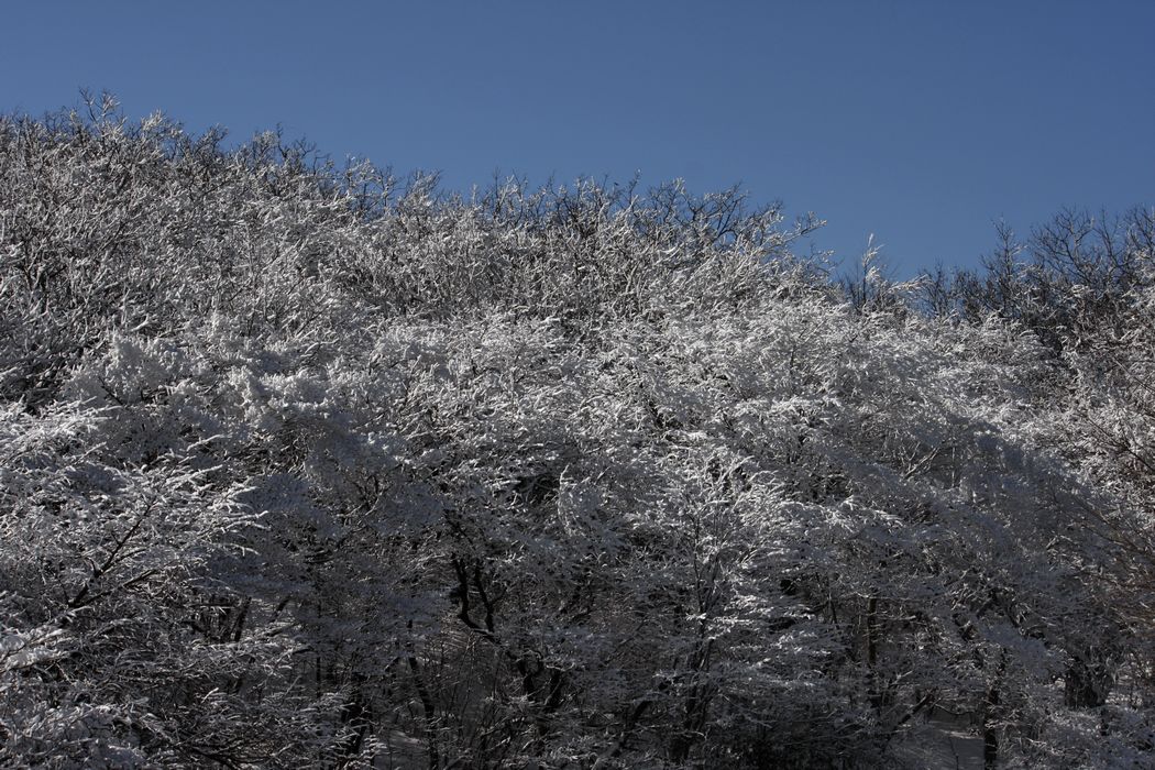 _mg_7395.jpg