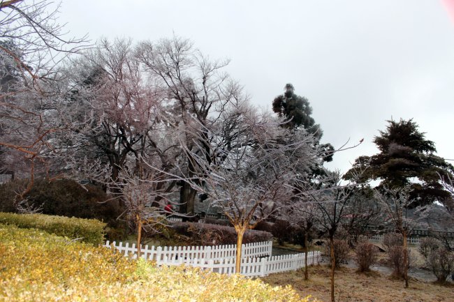 2012®ɽѩ 036.jpg