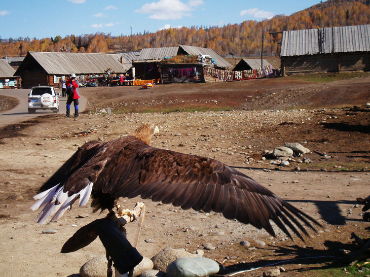 p1017179.jpg