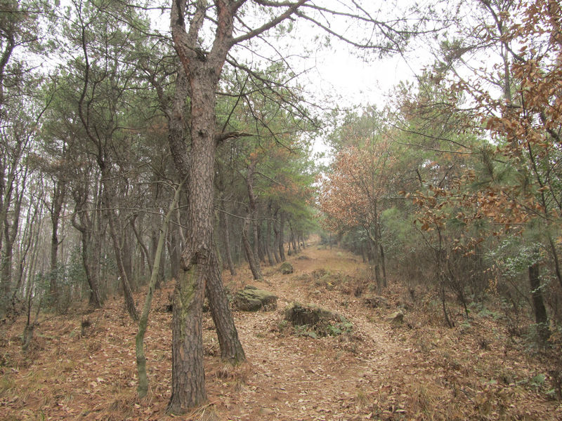 img_6016.jpg