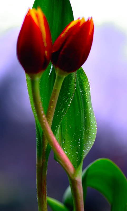 _dsc0140.jpg