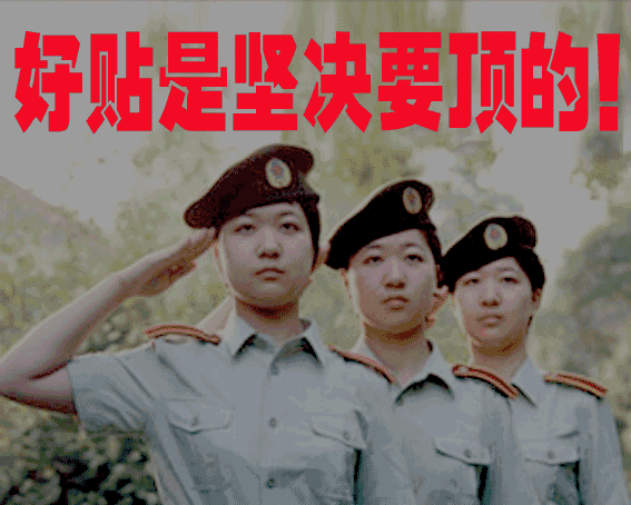 1011171545a9e84a4a849cbb0a.gif