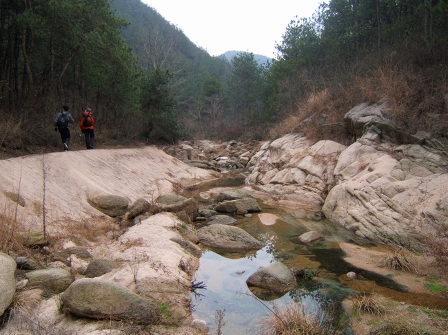 dscf6239.jpg