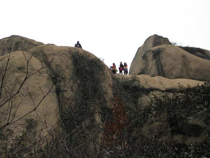 p2043237.jpg