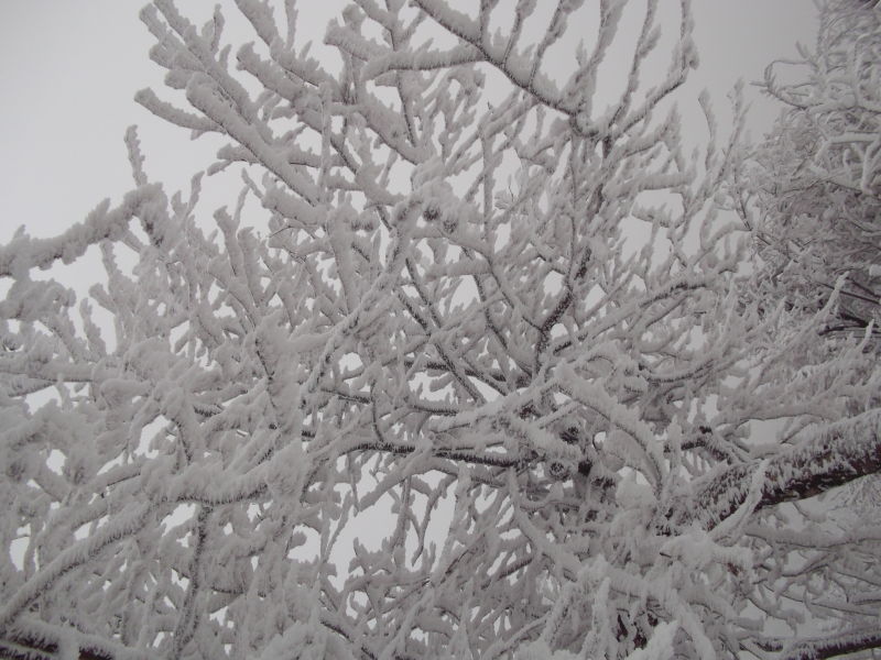 2012252235742302.jpg
