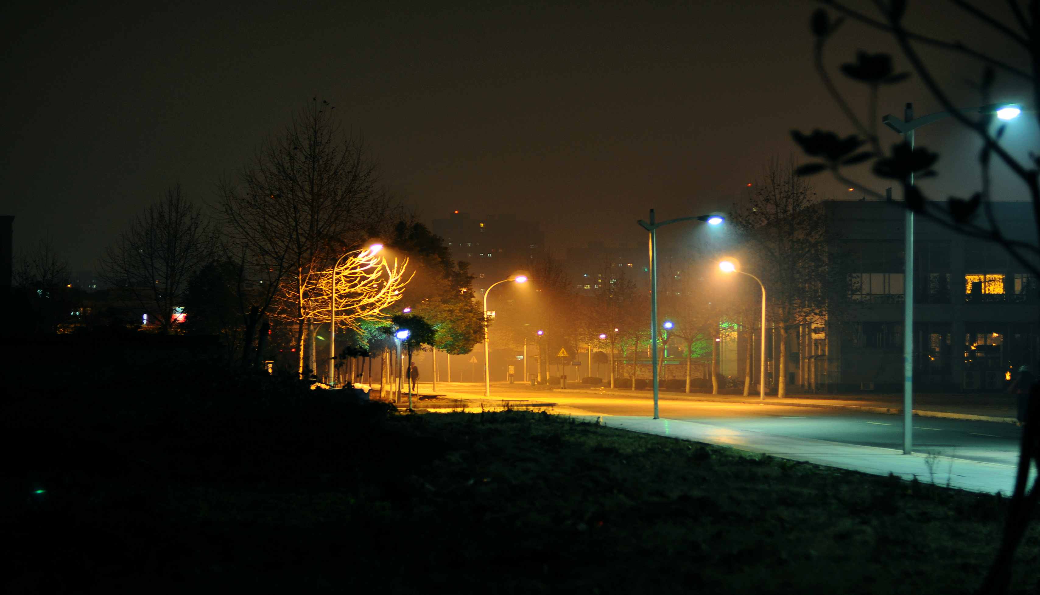 dsc_1340.jpg