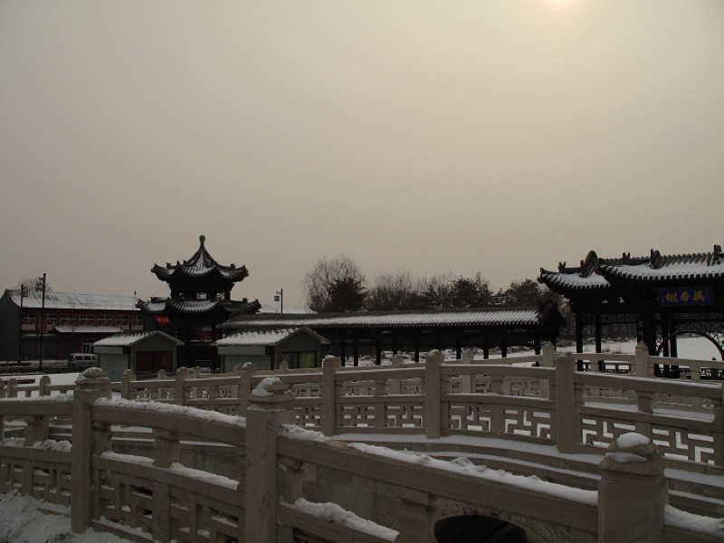 img_5805_neo_img.jpg