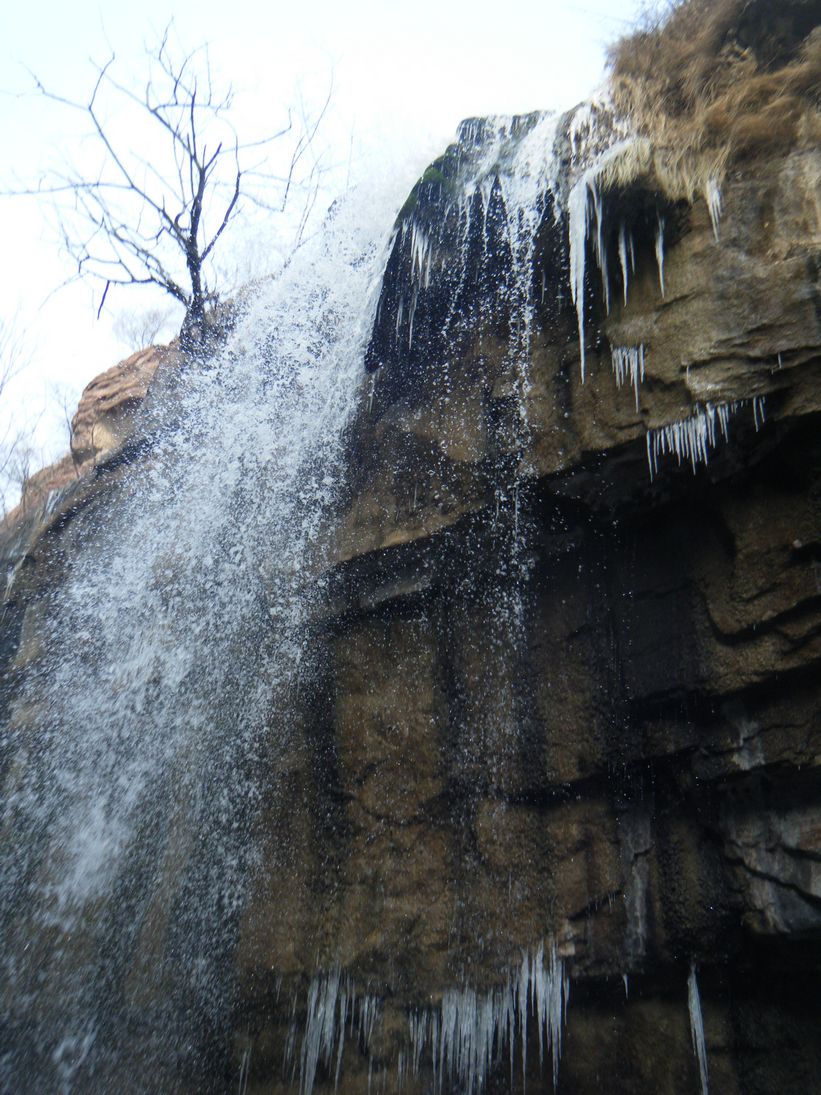 dscf2804.jpg