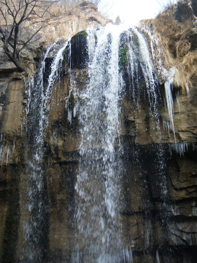 dscf2810.jpg