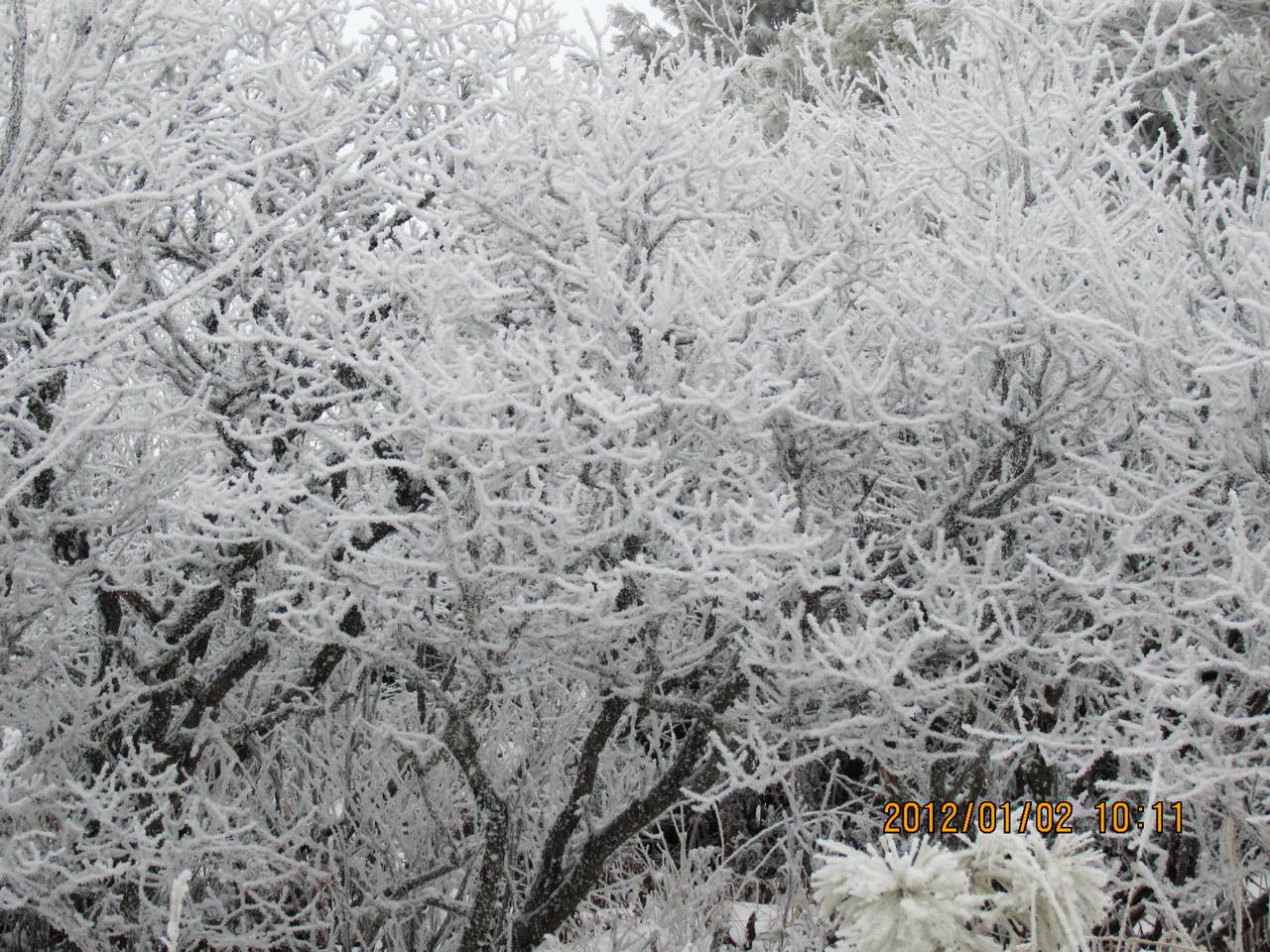 img_2749.jpg