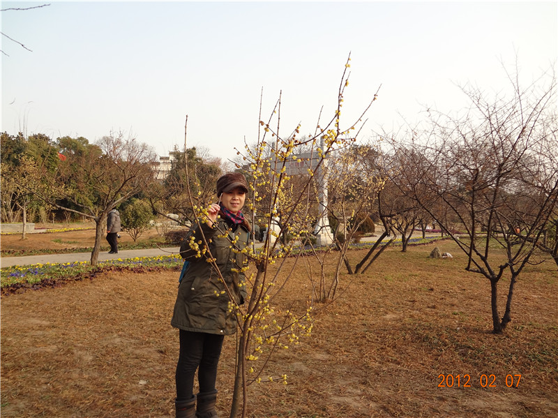 dsc01291_.jpg