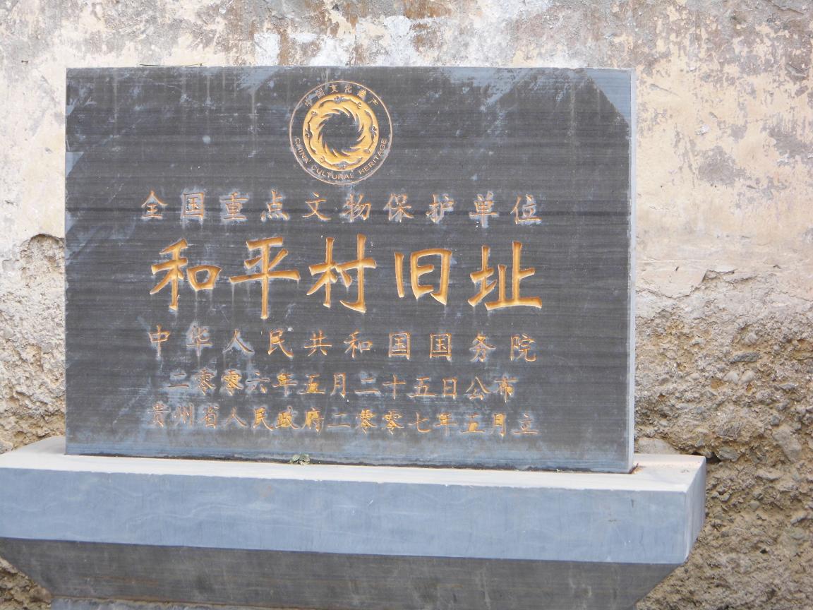 dsci8793.jpg