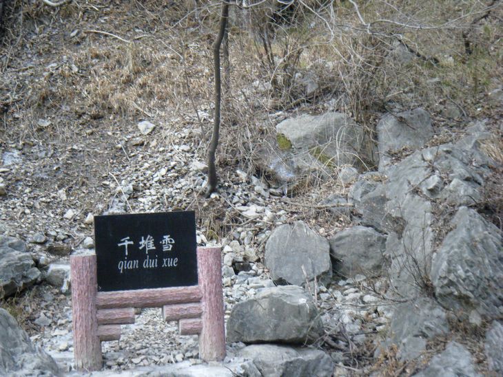 dscf2897.jpg