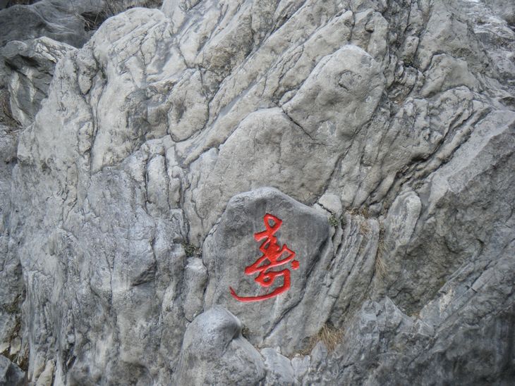 dscf2898.jpg