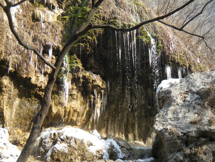 dscf2921.jpg