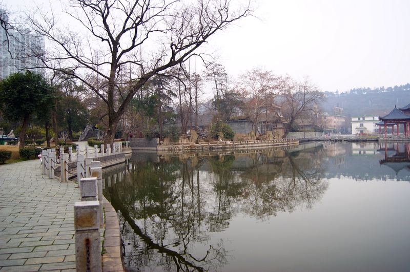 dsc05474.jpg