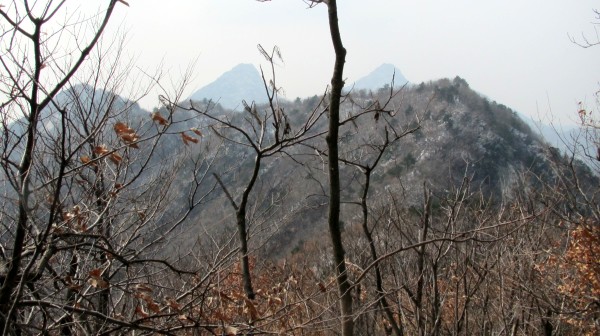 conew_img_3901.jpg