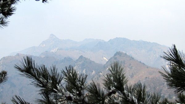 conew_img_3911.jpg