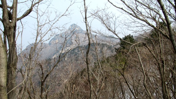 conew_img_3899.jpg