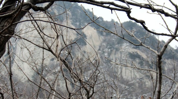 conew_img_3927.jpg