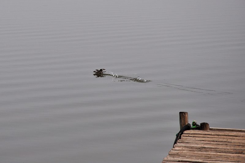 dsc_0188.jpg