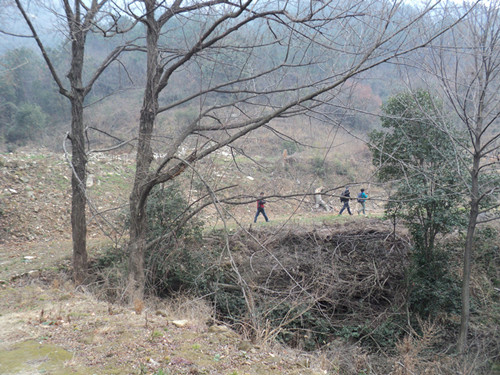 dsc07507__.jpg