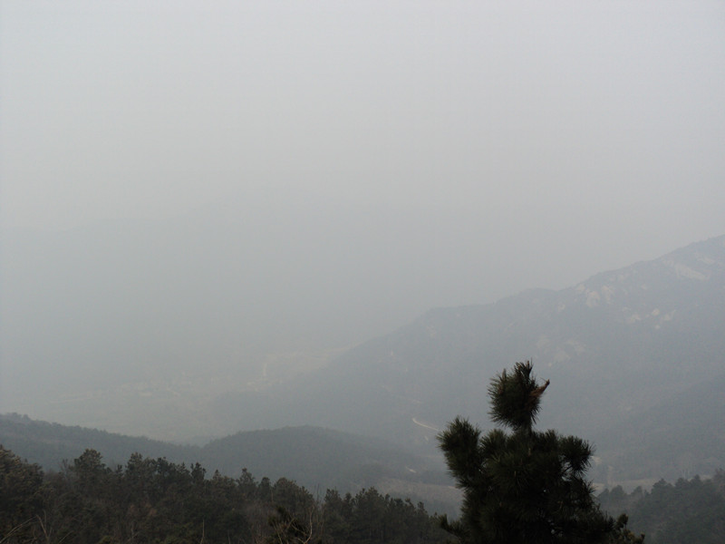dsc07516_.jpg