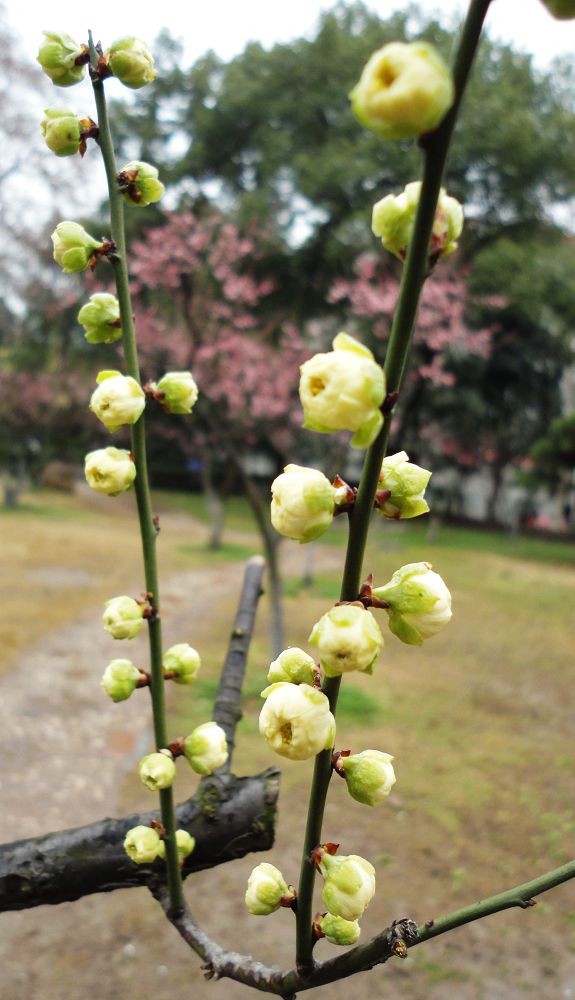neo_img_dsc05954.jpg
