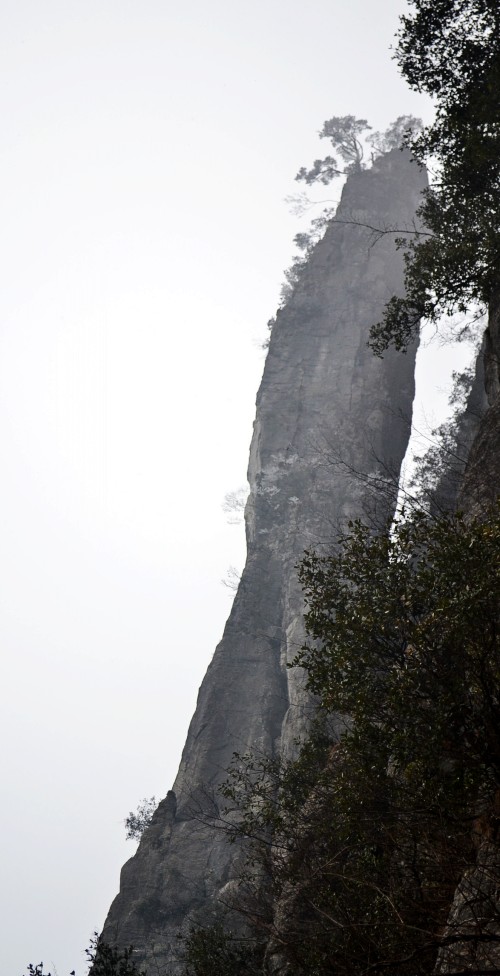 彭 154_conew2.jpg