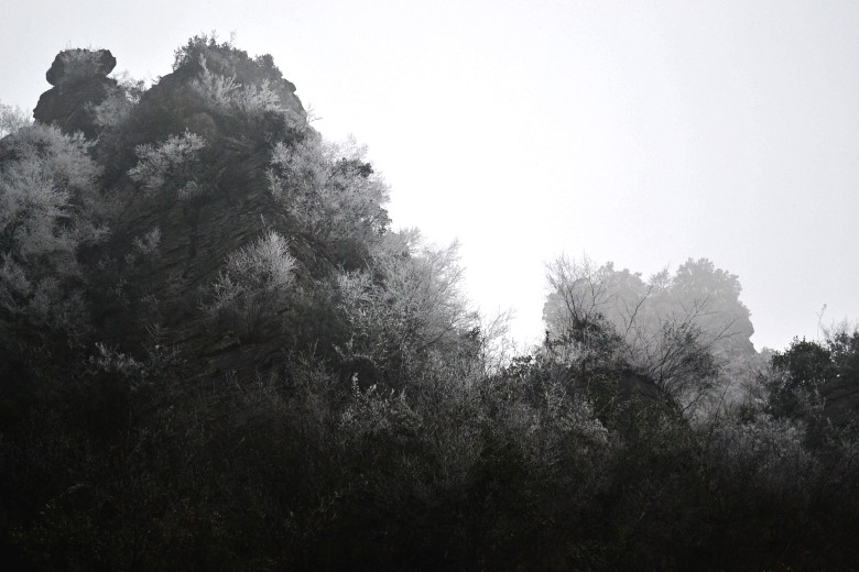 彭 155_conew1.jpg