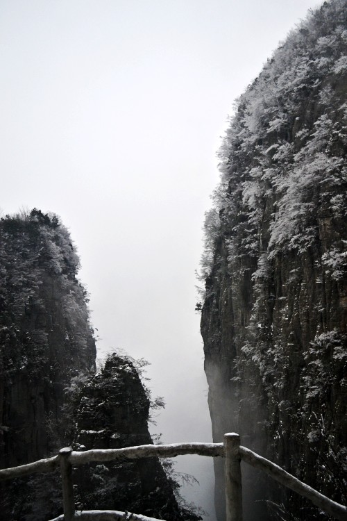 彭 268_conew1.jpg