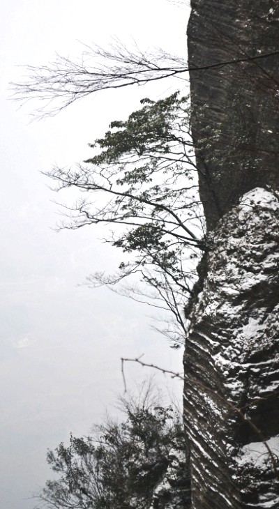 彭 276_conew2.jpg