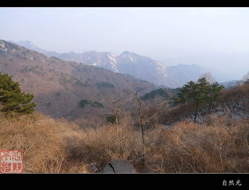 l1300524.jpg