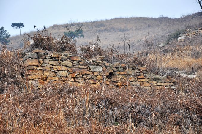 dsc_0030.jpg
