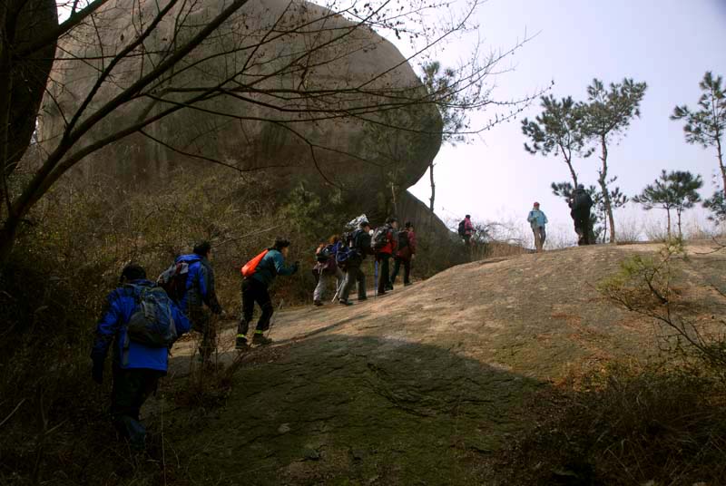 _dsc0080.jpg