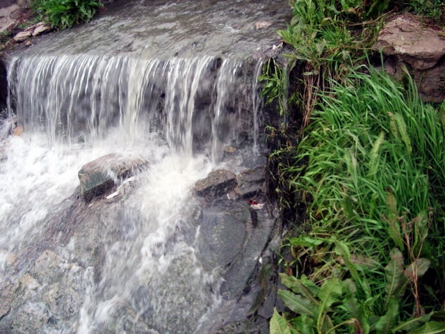 dscf0269.jpg