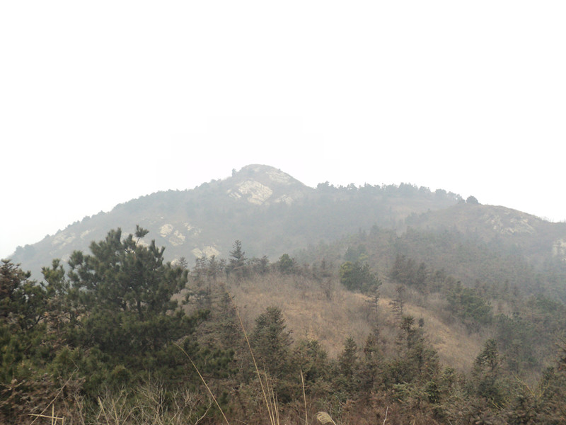 dsc07536_.jpg