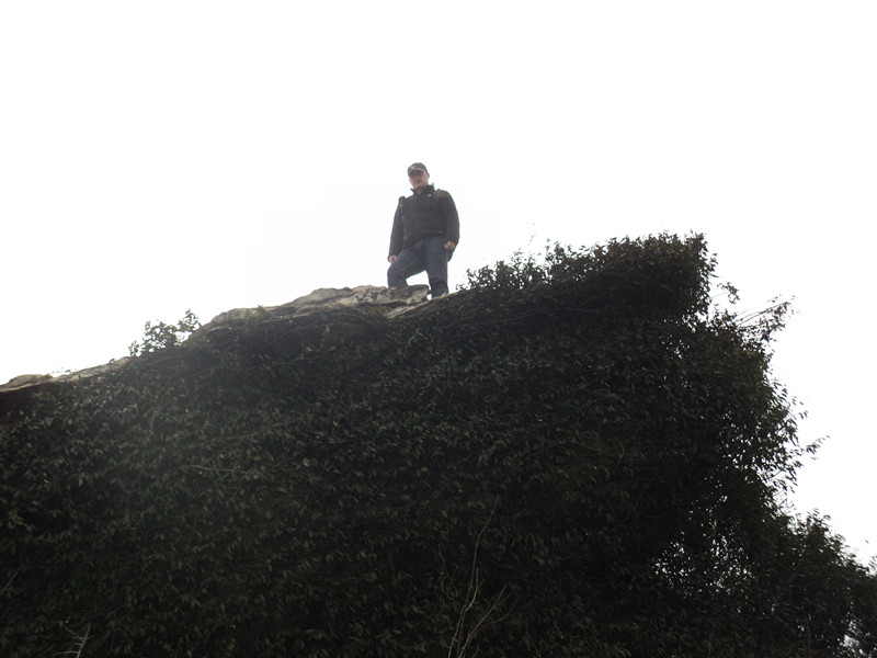 dsc07537_.jpg