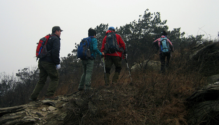 img_8739_1_.jpg