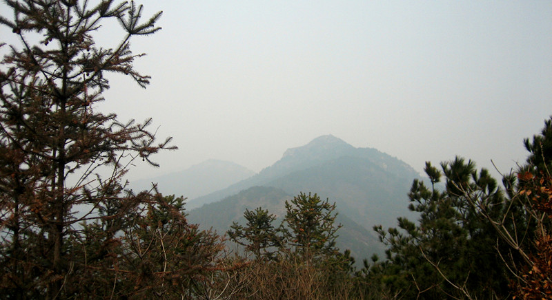 img_8804_1_.jpg