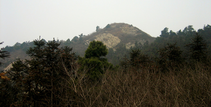 img_8728_1_.jpg