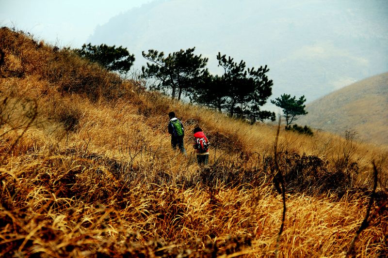 _mg_8879.jpg