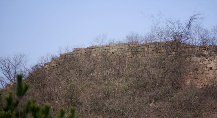 _mg_0241.jpg
