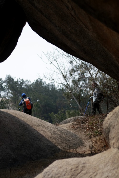_mg_0268.jpg