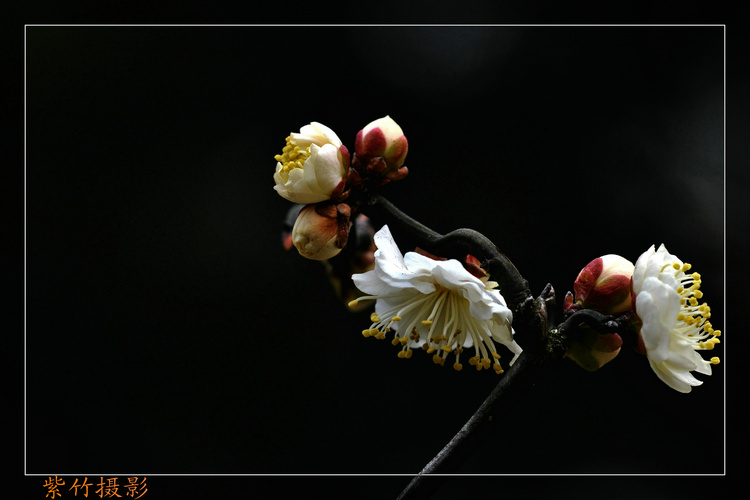 dsc_0848.jpg