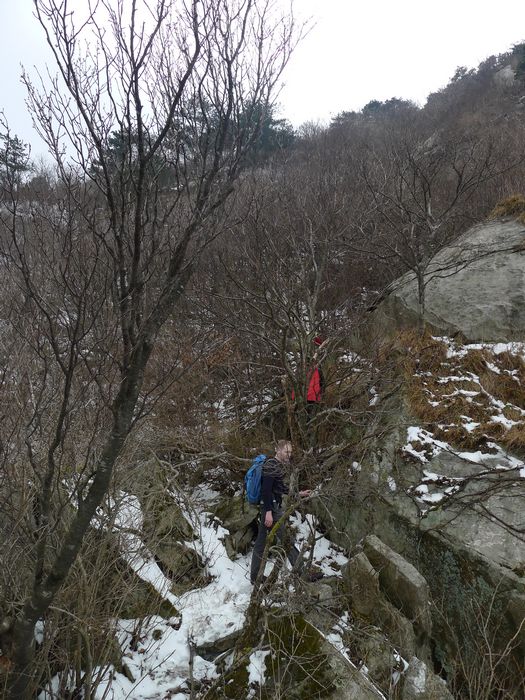 p1190491.jpg