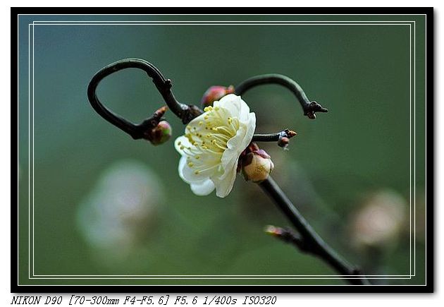 dsc_4178.jpg