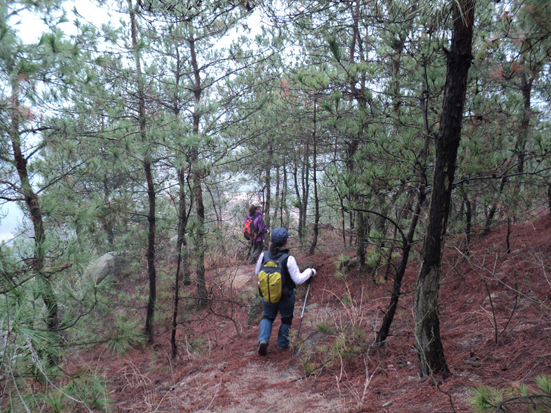 dsc07580_.jpg
