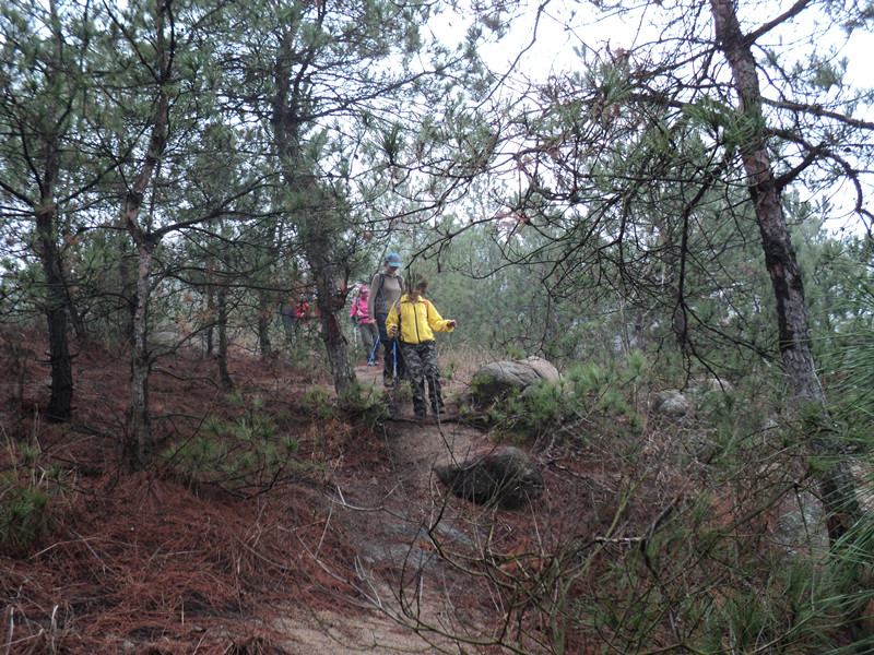 dsc07582_.jpg