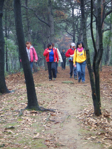 dsc05248.jpg